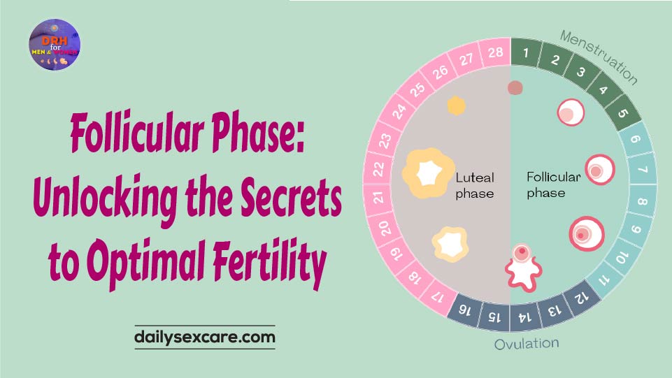 Follicular Phase Unlocking the Secrets to Optimal Fertility