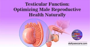 Testicular Function Optimizing Male Reproductive Health Naturally