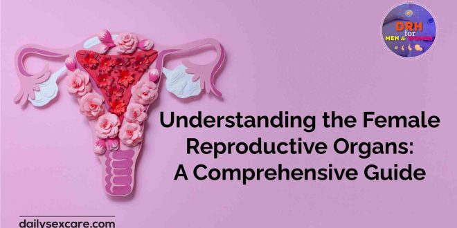 Understanding the Female Reproductive Organs A Comprehensive Guide