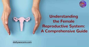 Understanding the Female Reproductive System A Comprehensive Guide
