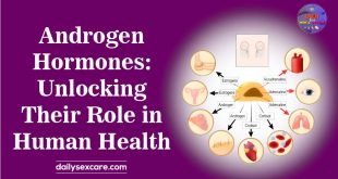 Androgen Hormones Unlocking Their Role in Human Health