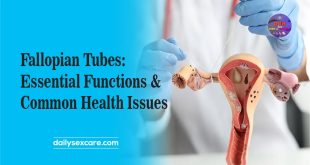 Fallopian Tubes Essential Functions and Common Health Issues