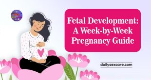 Fetal Development A Week-by-Week Pregnancy Guide