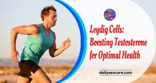 Leydig Cells Boosting Testosterone for Optimal Health