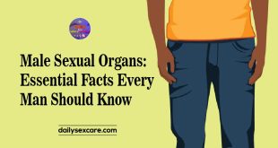 Male Sexual Organs Essential Facts Every Man Should Know