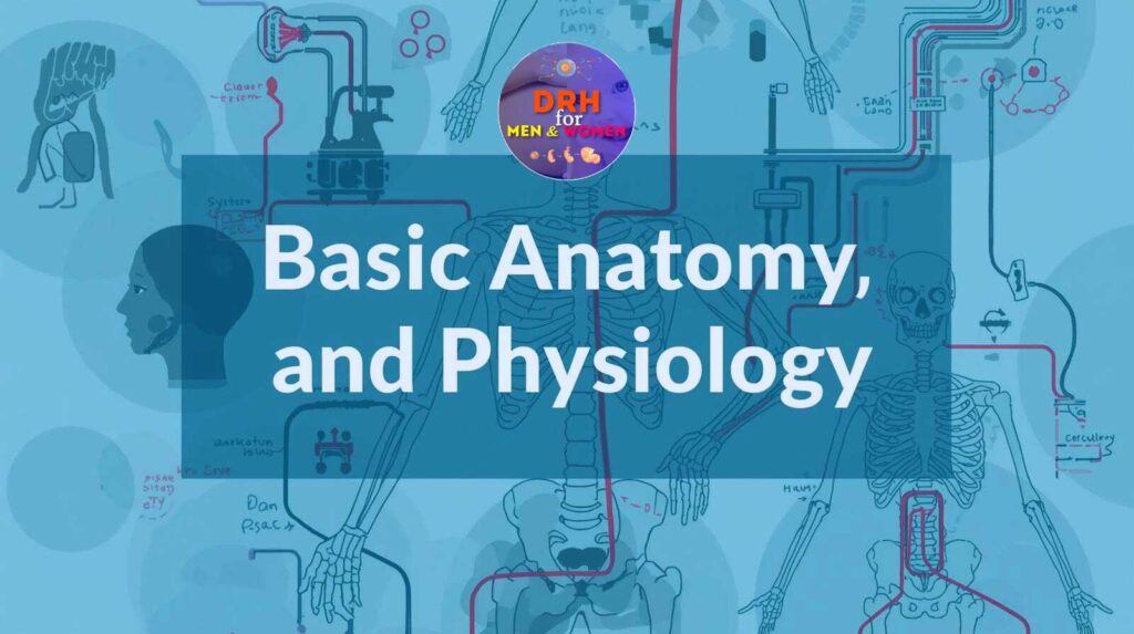 basic anatomy and physiology - Reproductive Health