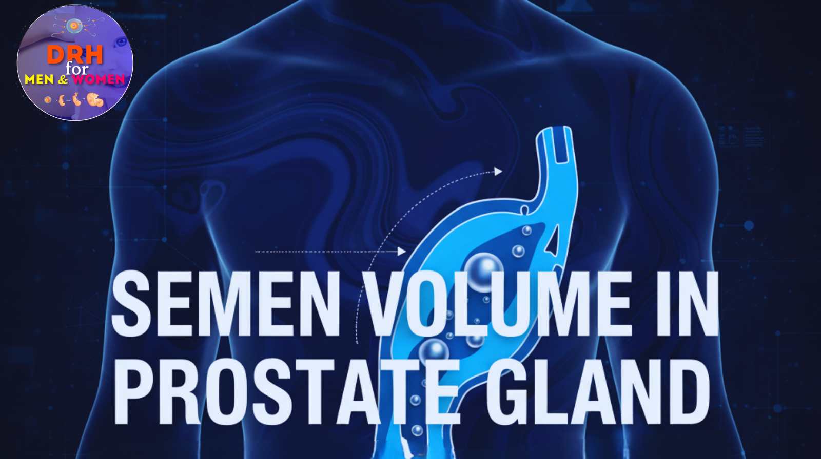 How Prostate Health Affects Semen Volume: Complete Guide