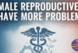 male reproductive have more problem