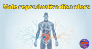 male reproductive disorders
