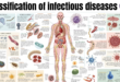 classification of infectious diseases
