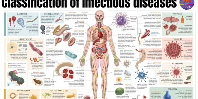 classification of infectious diseases